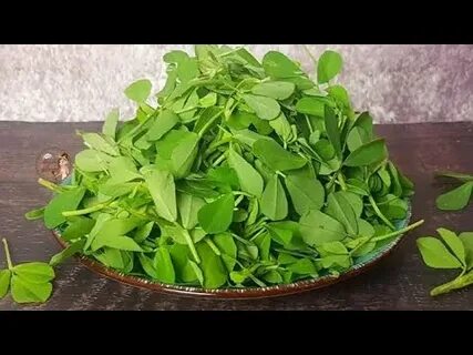 تصویر 2 از سبزی شنبلیله خشک کیلویی بالسی + خرید عمده
